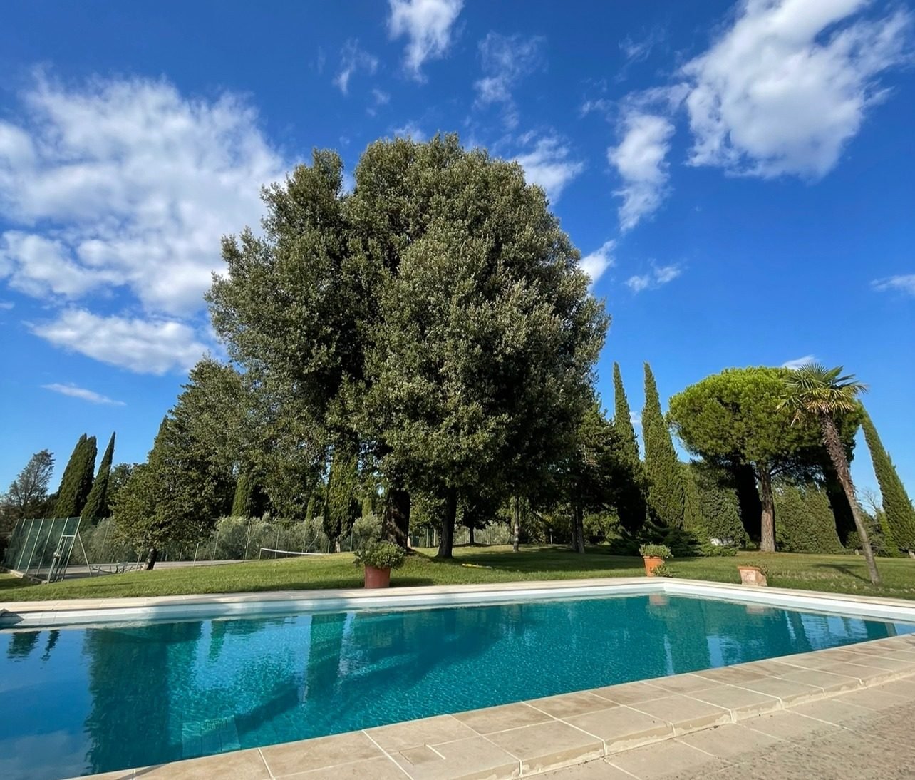 Garten mit Zypressen und Pool