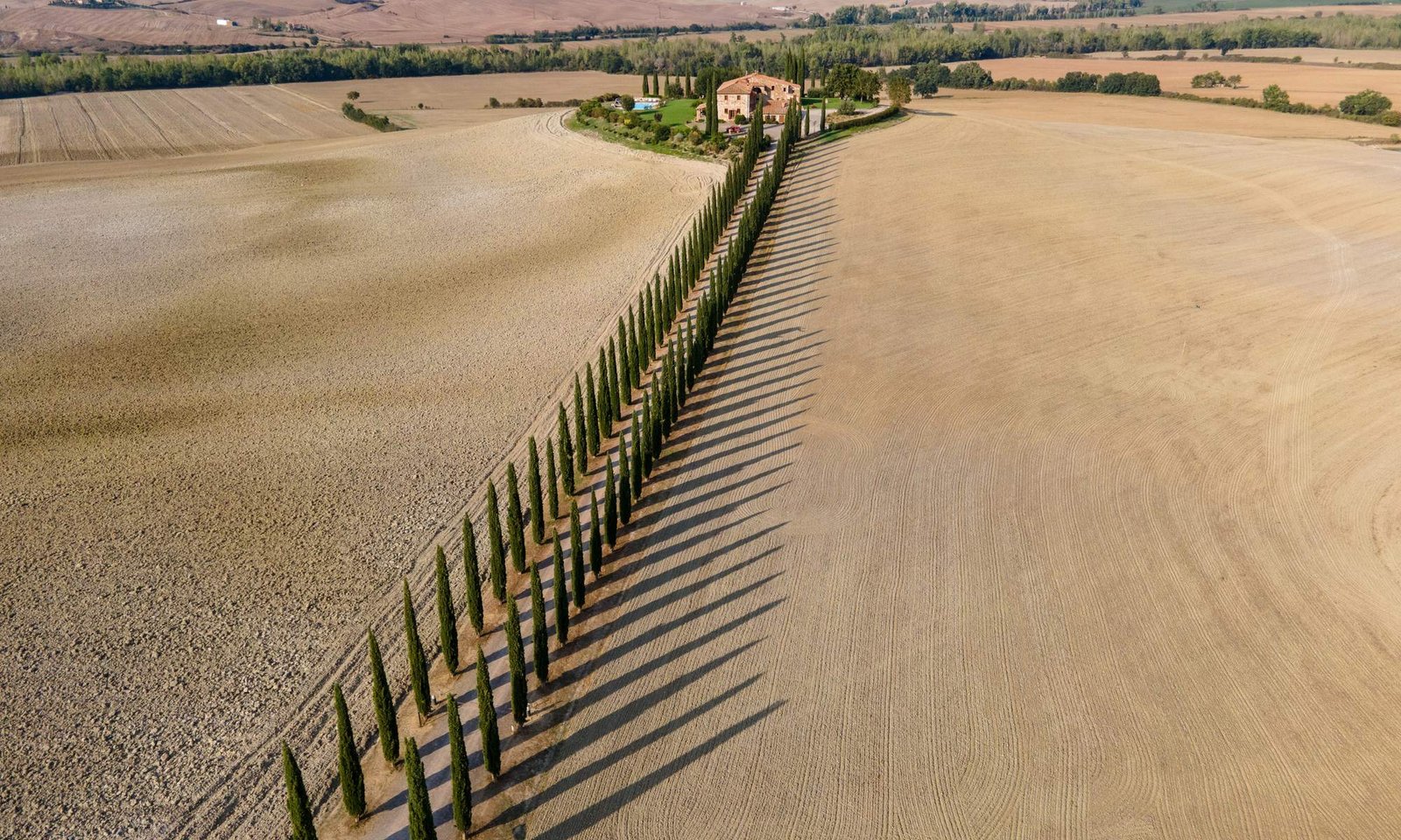 Zypressenallee im Tessin